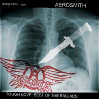 [Aerosmith Tough Love: Best Of The Ballads Album Cover]