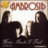 [Ambrosia How Much I Feel And Other Hits Album Cover]