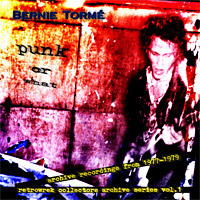 Bernie Torme Punk or What Album Cover