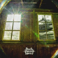 Black Swamp Water Distant Thunder Album Cover