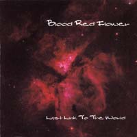 Blood Red Flower Last Link To The World Album Cover