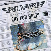 [Bonfire Cry 4 Help  Album Cover]