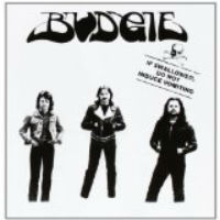 Budgie If Swallowed Do Not Induce Vomiting Album Cover