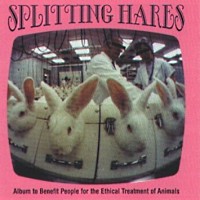Compilations Splitting Hares Album Cover