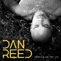Dan Reed Coming Up For Air Album Cover