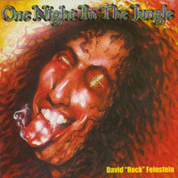 [David Rock Feinstein One Night In The Jungle Album Cover]