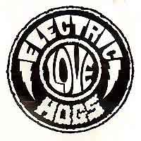 [Electric Love Hogs Electric Love Hogs Album Cover]