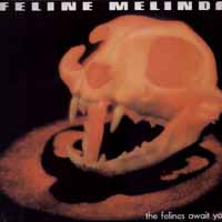 [Feline Melinda The Felines Await You Album Cover]