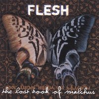 [Flesh The Lost Book Of Malchus Album Cover]