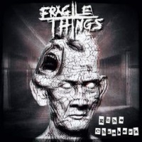 Fragile Things Echo Chambers Album Cover