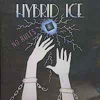 [Hybrid Ice No Rules Album Cover]
