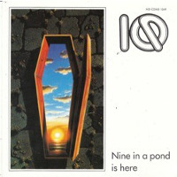 [IQ Nine On A Pond Is Here Album Cover]