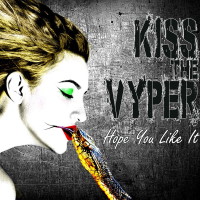 Kiss The Vyper Hope You Like It Album Cover