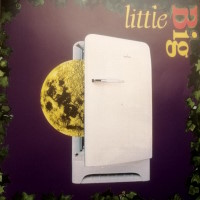 Little Big Bridge to the Fridge Album Cover