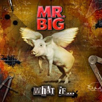 [Mr. Big What If Album Cover]