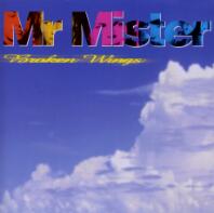 Mr. Mister Broken Wings Album Cover