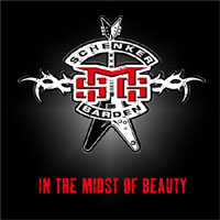[The Michael Schenker Group In the Midst of Beauty Album Cover]