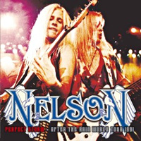 [Nelson Perfect Storm - After the Rain World Tour 1991 Album Cover]