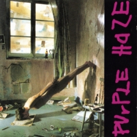 [Purple Haze Purple Haze Album Cover]