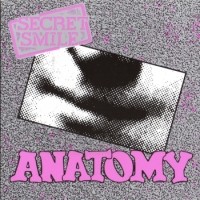 [Secret Smile Anatomy Album Cover]
