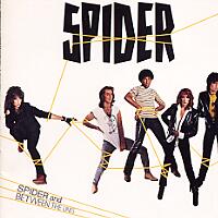 Spider Spider/Between the Lines Album Cover