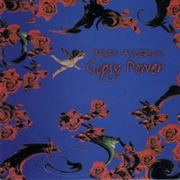 Steven Anderson Gipsy Power Album Cover