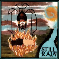 Still Rain Still Rain Album Cover