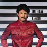 Tim Feehan Carmalita Album Cover