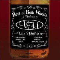 Tributes Best of Both Worlds: A Tribute to Van Halen Album Cover