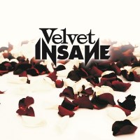 [Velvet Insane Velvet Insane Album Cover]