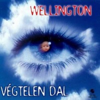 [Wellington Vegtelen Dal Album Cover]