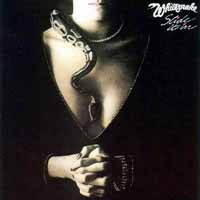Whitesnake Slide It In Album Cover