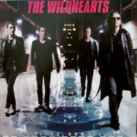 [The Wildhearts Endless, Nameless Album Cover]